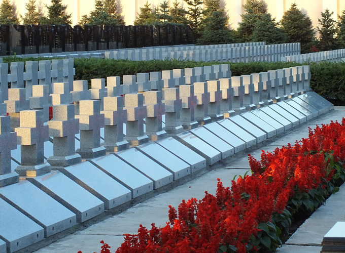 生态葬时代即将来临!